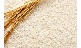 Non Basmati rice