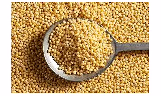 Kodo millet