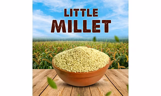 Little Millet