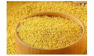 Foxtail Millet