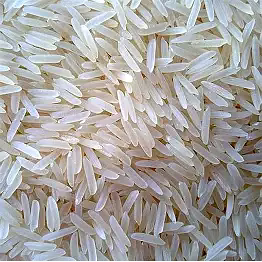 basmati rice – 1509 white sella / golden sella