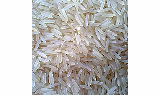 Basmati Rice – 1509 White Sella / Golden Sella