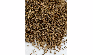 Cumin Seeds