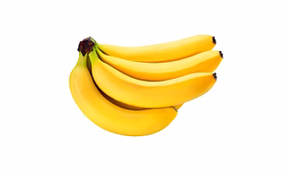Fresh Indian Bananas – Premium Cavendish & Robusta Varieties for Export