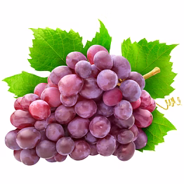 premium grapes – green, black & red seedless varieties