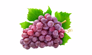 Premium Grapes – Green, Black & Red Seedless Varieties