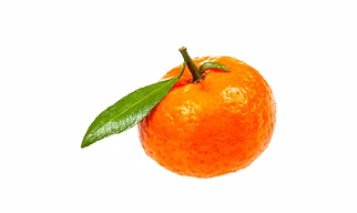 Fresh Premium Mandarin Oranges – Juicy, Sweet & Export Quality