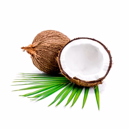 fresh indian coconuts – semi husked, whole & mature export grade