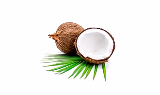 Fresh Indian Coconuts – Semi Husked, Whole & Mature Export Grade