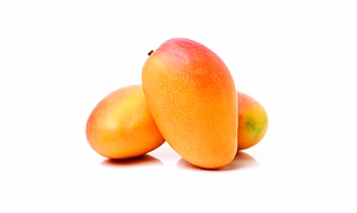 Fresh Indian Mangoes – Alphonso, Kesar, Banganapalli & Totapuri