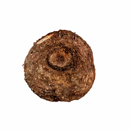 fresh suran (elephant foot yam) – cleaned, cut & whole tubers