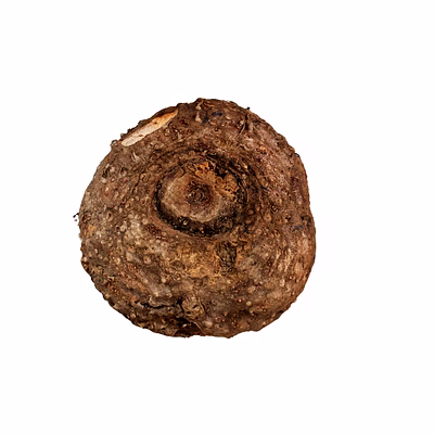 fresh suran (elephant foot yam) – cleaned, cut & whole tubers