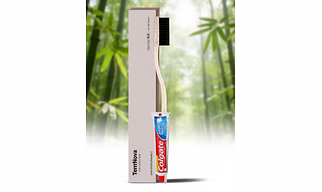 TerraNova Wheat Straw Tooth-Brush