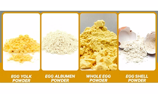Egg Powder
