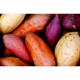sweet potato
