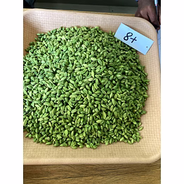 spicy gold 8+ mm green cardamom