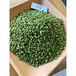spicy gold 7.5 mm premium green cardamom
