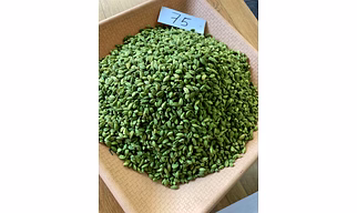 Spicy Gold 7.5 mm Premium Green Cardamom
