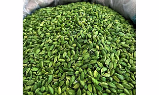 Spicy Gold Cardamom Mix