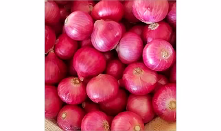 Fresh Onion And other  vegetables