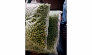 IQF Green Peas/Frozen and Chilled