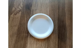 Sugarcane Bagasse Round Plain & Compartment Plate