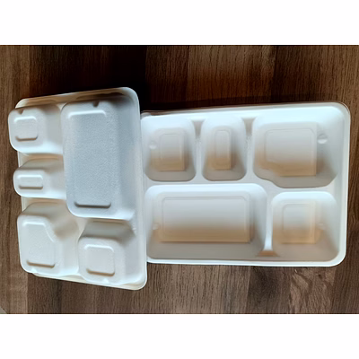 sugarcane bagasse meal tray