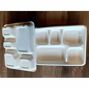 Sugarcane Bagasse Meal Tray