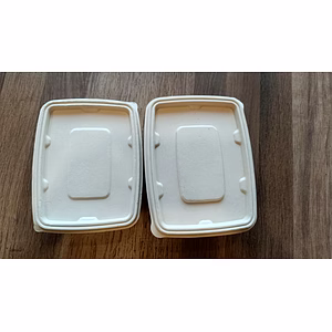 Sugarcane Bagasse Container With Lid