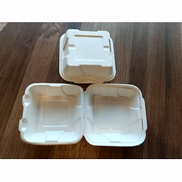 sugarcane bagasse clamshell