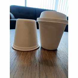sugarcane bagasse cup & cups with lid