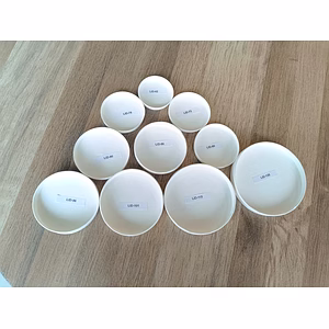 Paper Gravy & Ice Cream Bowls & Lids