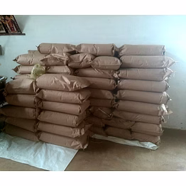 moringa powder