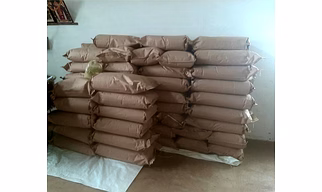 Moringa powder