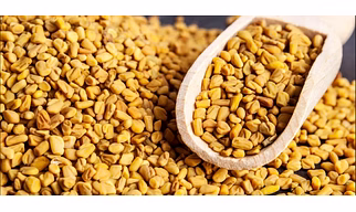 FENUGREEK SEEDS (METHI)