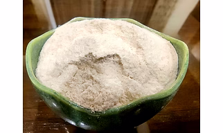 Psyllium Powder 99 Bulk Supply for Global Importers & Buyers | Size-Graded & Export Ready Food Ingredient