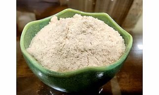 Psyllium Powder 98 Bulk Supply for Global Importers & Buyers | Size-Graded & Export Ready Food Ingredient