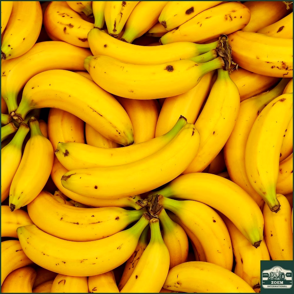 bananas