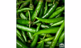 Premium Guntur G4 Green Chilli