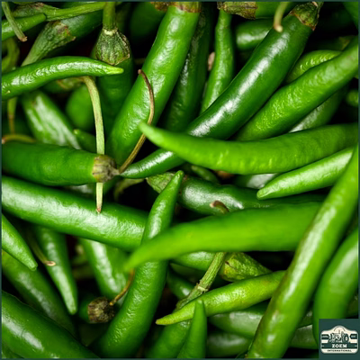 premium guntur g4 green chilli