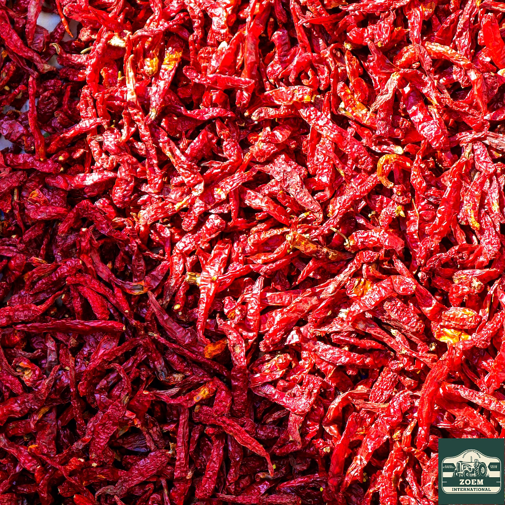 byadgi green chilli
