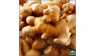 FRESH GINGER — KARNATAKA (Hassan / Wayanad Belt)