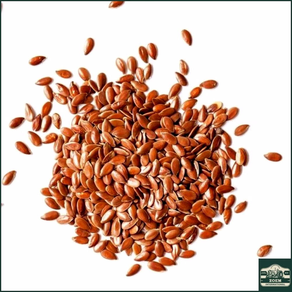 brown flax seeds — madhya pradesh / karnataka (standard export grade)