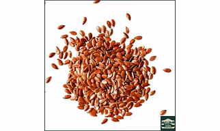 BROWN FLAX SEEDS — Madhya Pradesh / Karnataka (Standard Export Grade)