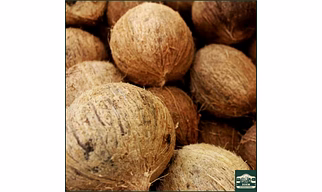 POLLACHI SEMI HUSKED COCONUT — Tamil Nadu (Premium Export Grade)