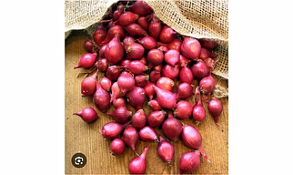 Shallots