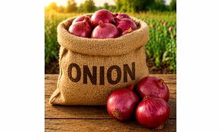 Onion