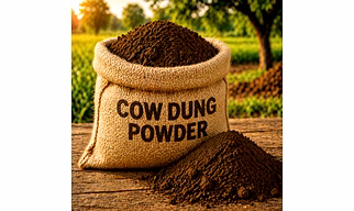 Cow Dung Powder