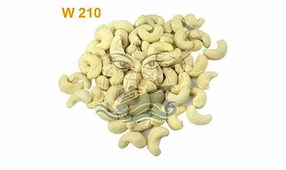 W210 CASHEW NUTS