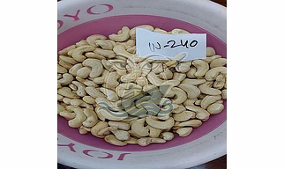 W240 CASHEW NUTS